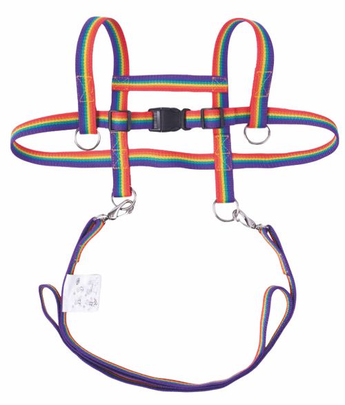 Pferdeleine Laufleine REGENBOGEN